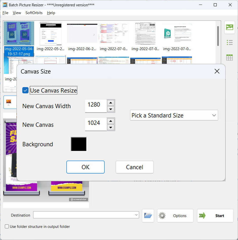 DNG to JPG Converter Software canvas settings