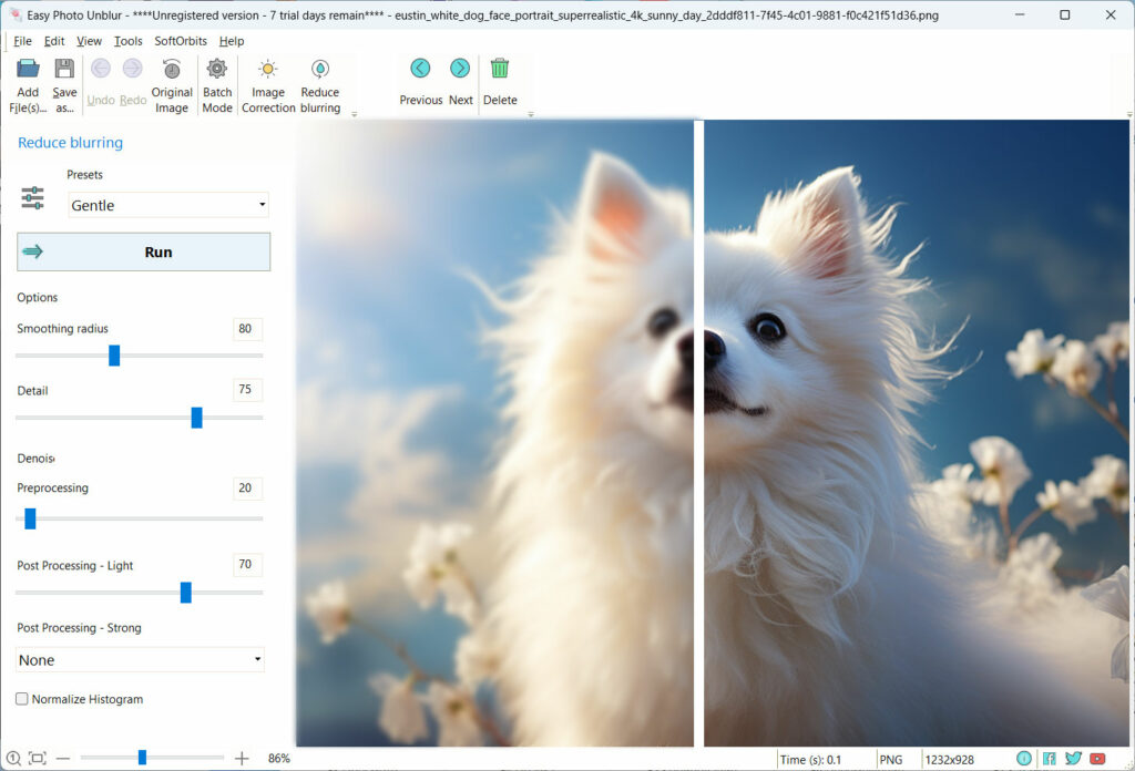 photo blur remover software screenhsot