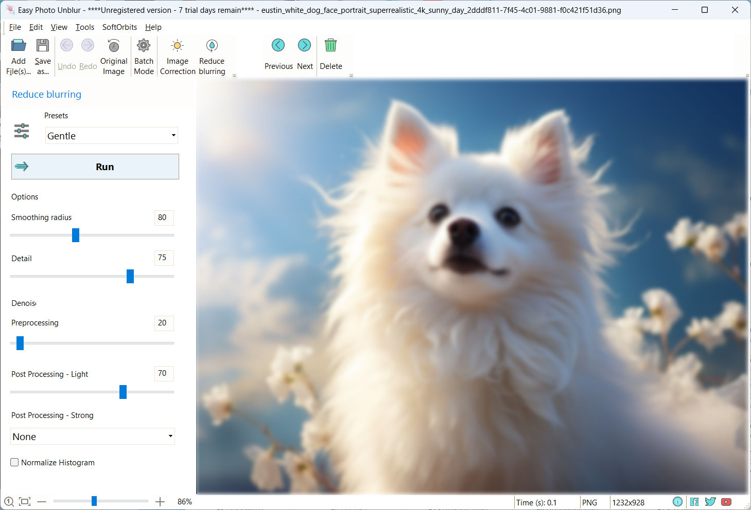 blur remover software - before - dog photo